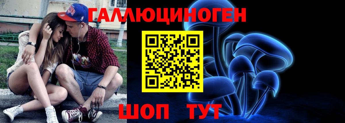 Галлюциногенные грибы Psilocybe Пушкино