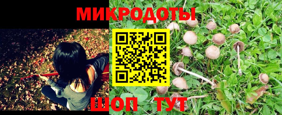 Пушкино  Псилоцибиновые грибы Magic Shrooms  Вход с VPN 